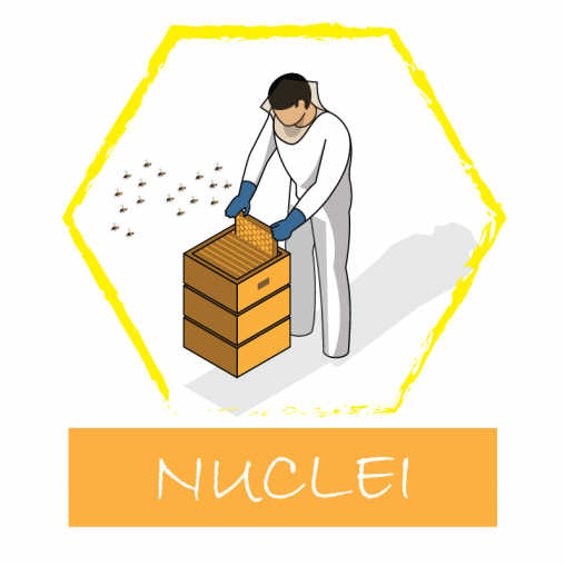 Bienenvölker auf 3...