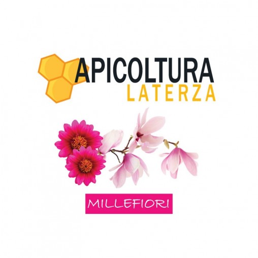 Miel de milflores cru 900g - Miel - Matériel apiculteur