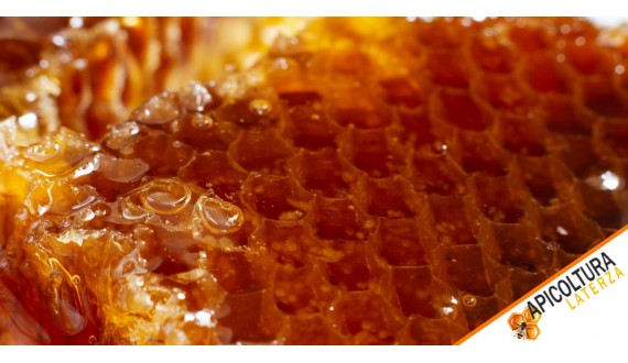 Nucs on 5 Frames and Bee Packs: Why They're Essential to Your Apiary's Success