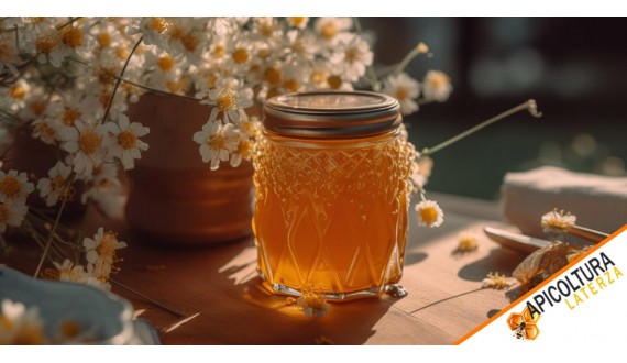 Honey: Not Only Sweetness, But a Treasure of Health and Wellness