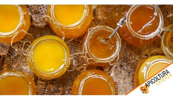 Dolce Nettaressa: Scopri i Benefici e le Caratteristiche dei Mieli di ApicolturaLaterza