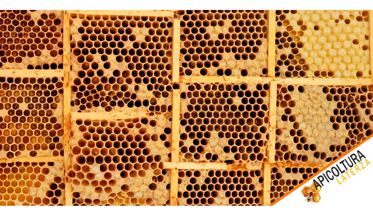 Why bee cores are the best investment for every beekeeping enthusiast