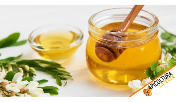Miele di acacia: proprietà, benefici e valori nutrizionali