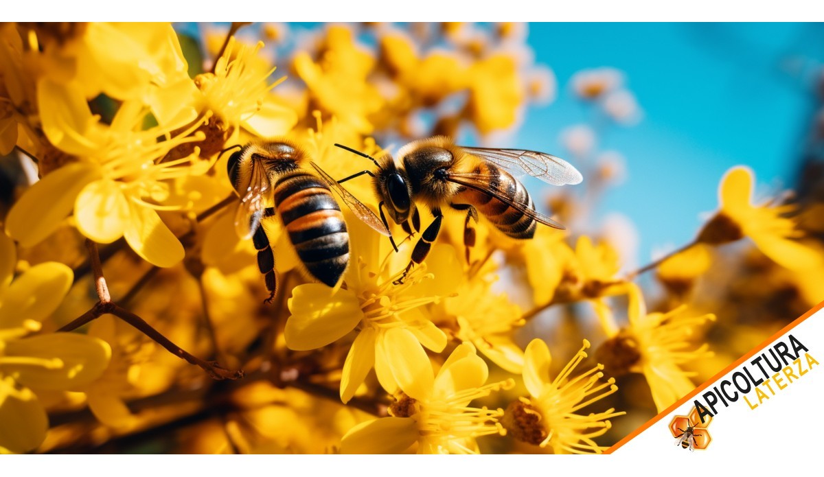 Combien d'yeux a une abeille et comment les utilise-t-elle ?
