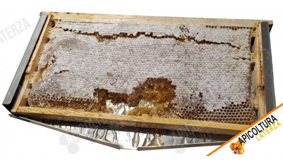 Miele in Favo vs. Miele Tradizionale: Un Tesoro di Benessere da Riscoprire