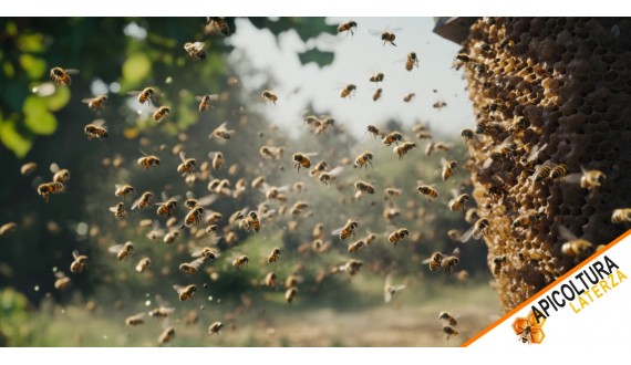 Api specie: una guida completa alle razze di api