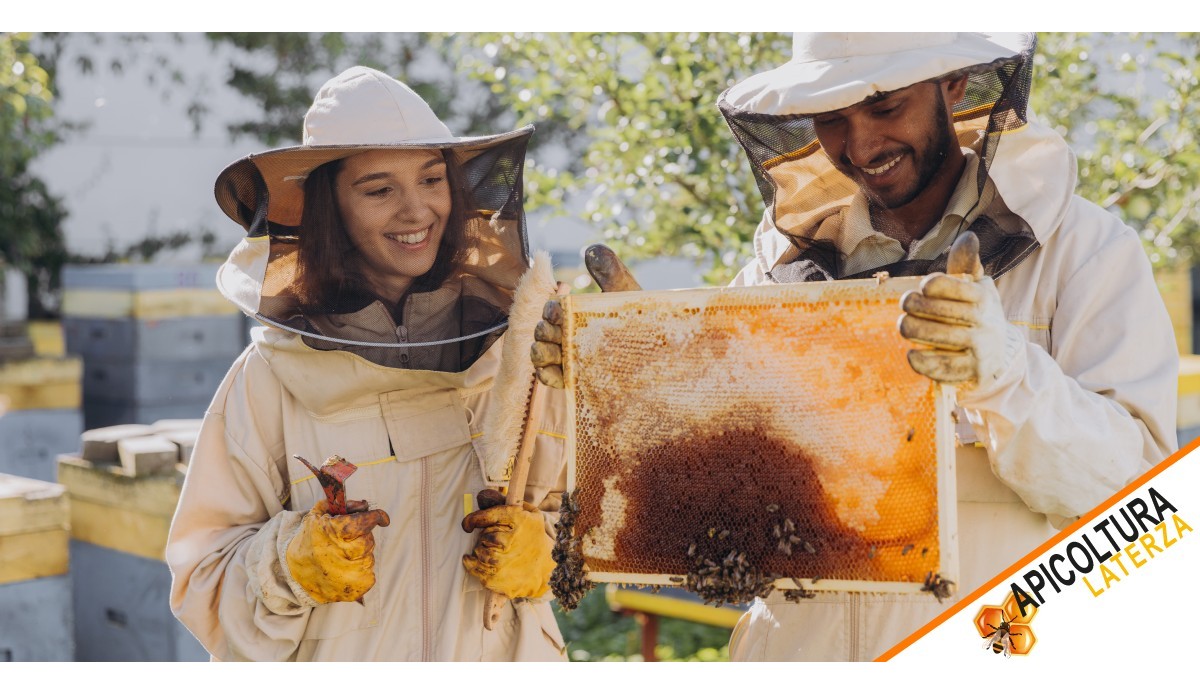 Bees and Beekeeping: How to Start in Beekeeping