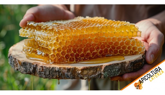 Massimizzare Produzione Miele: Ruolo Genetica Api Regine 2026