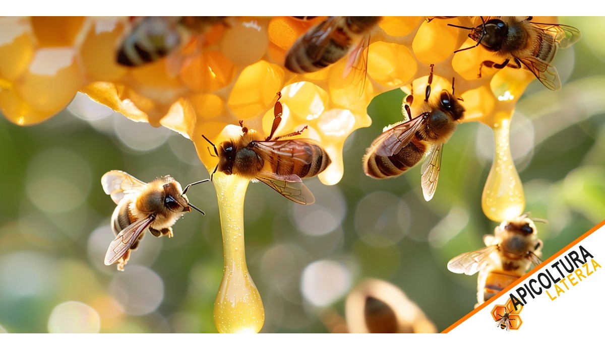 Hive Health and Genetics: The Role of Queen Bees in Disease Prevention in 2026