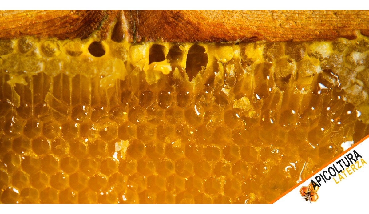 Honeycomb by Apicoltura Laterza: Pure Authenticity, Now Available