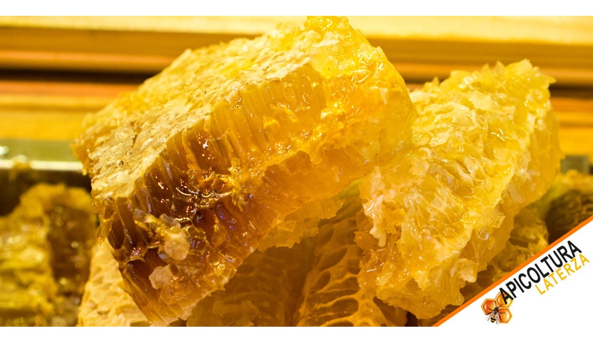 Apicoltura Laterza Honeycomb: The Art of Tasting and Ho.Re.Ca. Excellence