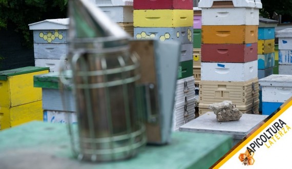 Attrezzatura per Far Crescere l'Apiario: Cosa Serve Davvero e in Che Ordine Comprarla