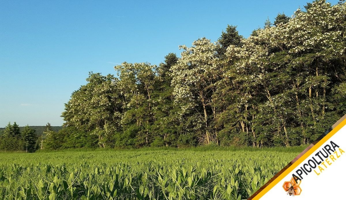 Calendrier des Floraisons: Planifier son Annee sur son Rayon de Vol